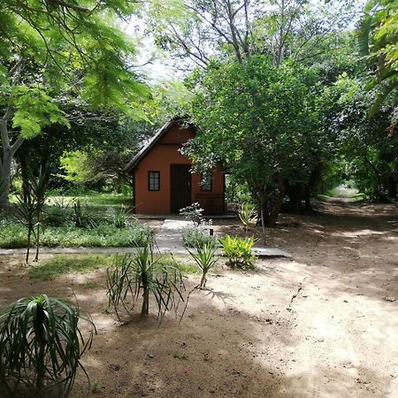 Вілла We Bushcamp & Horse Safaris Глуглуве Екстер'єр фото