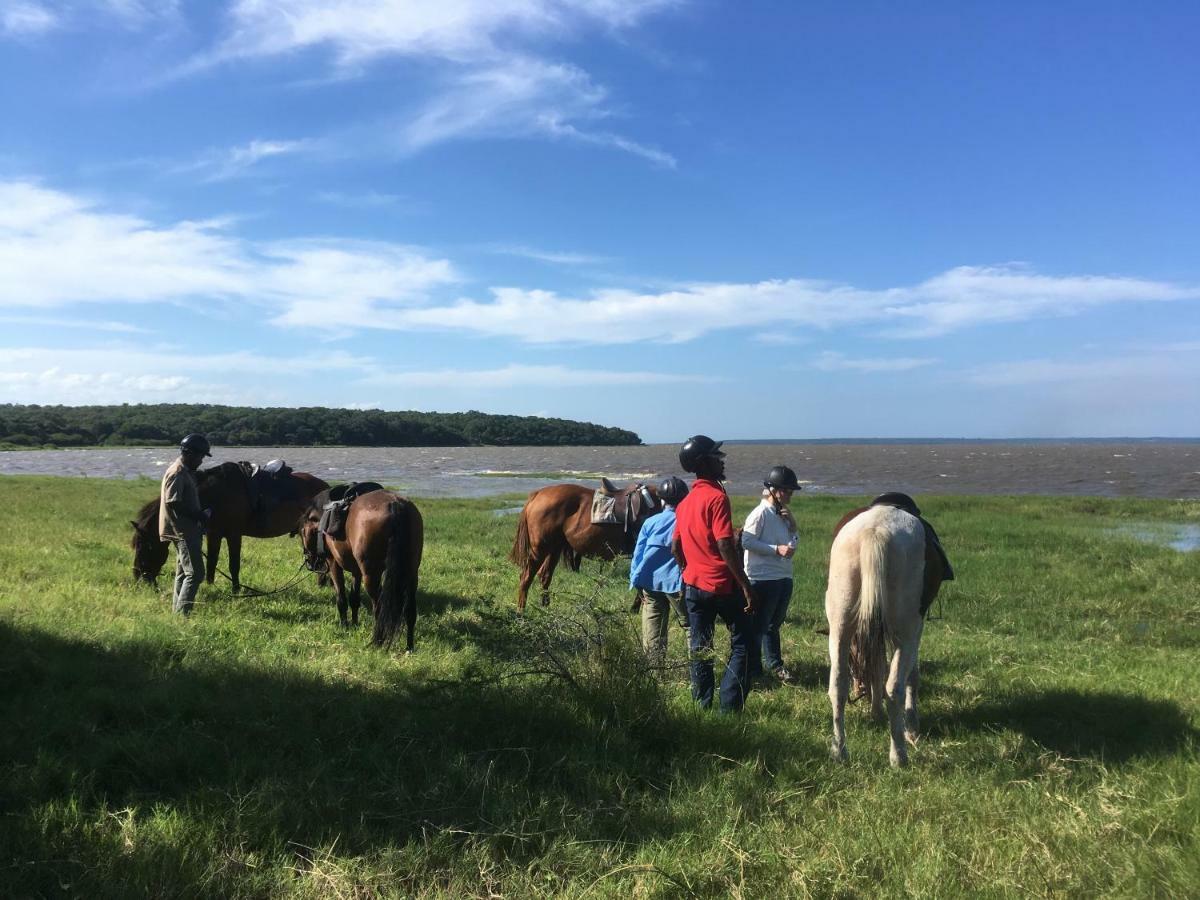 Вілла We Bushcamp & Horse Safaris Глуглуве Екстер'єр фото