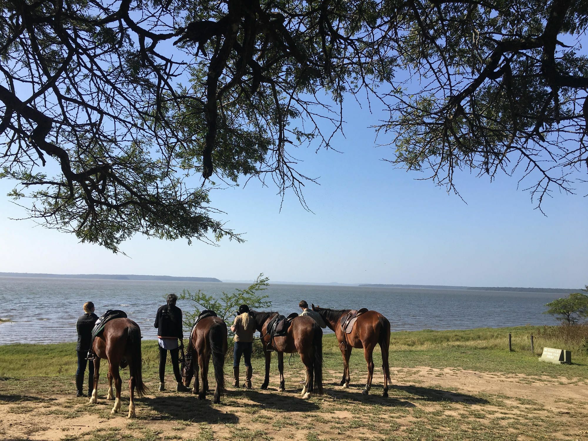 Вілла We Bushcamp & Horse Safaris Глуглуве Екстер'єр фото